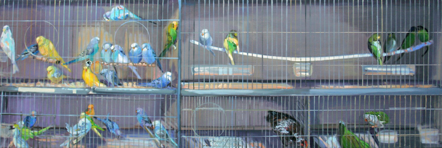 Betsy Bart - Budgies